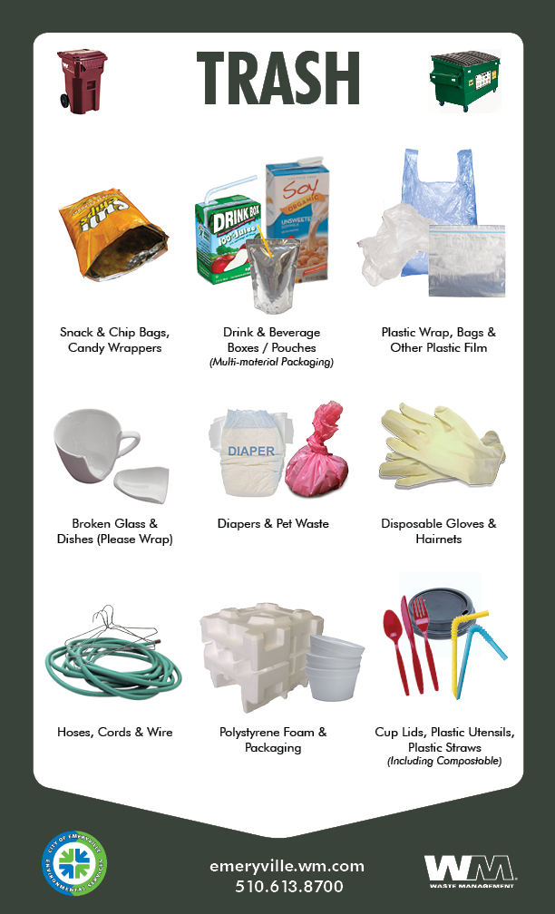 About Our Services City of Emeryville