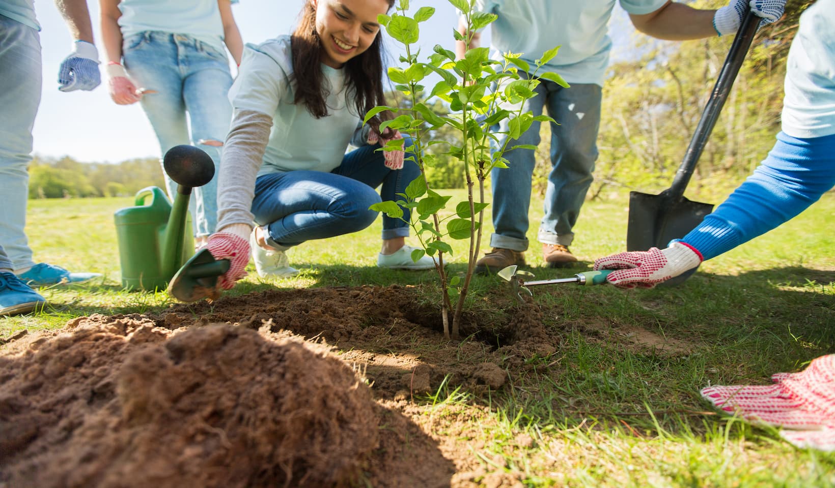 High-Quality Compost & Soil Amendment Products