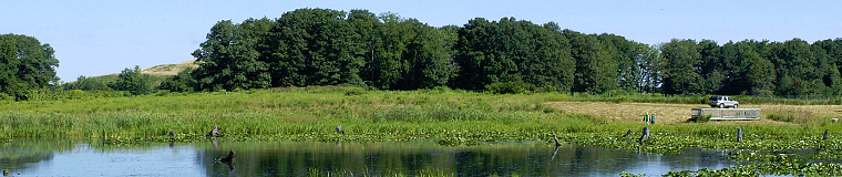 Environmental Protection