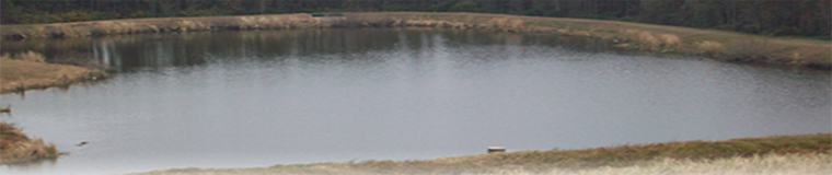 Ground Water and Surface Water Monitoring