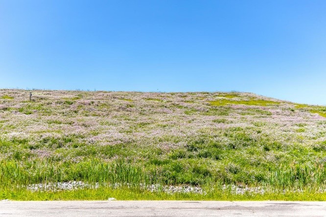 Covel Gardens Landfill