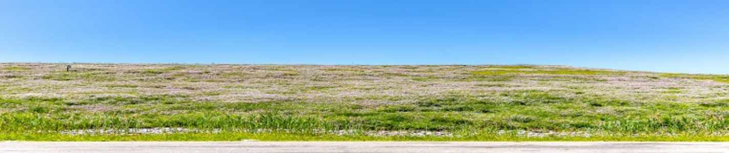 WildLife Habitat