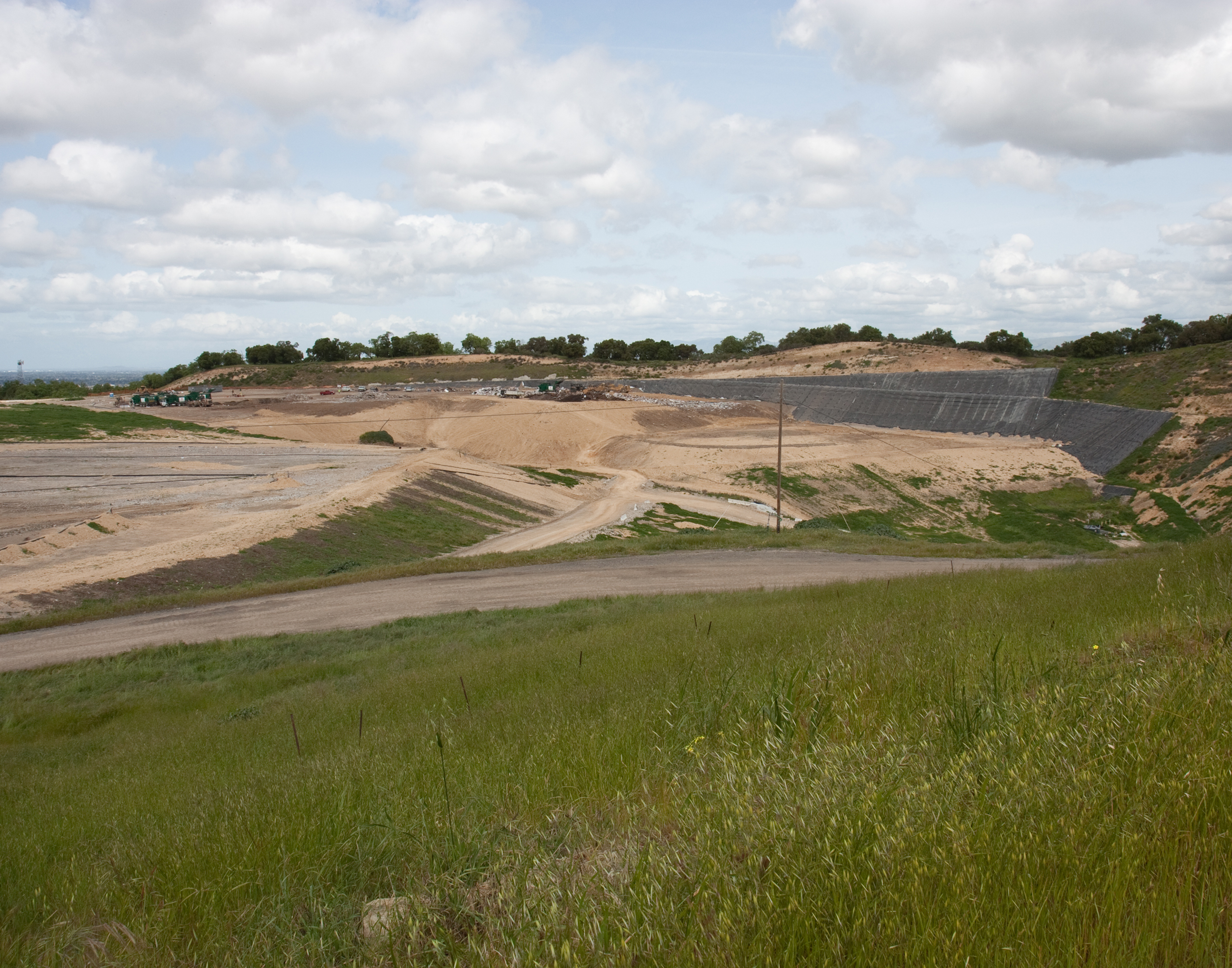 Wildlife Habitat