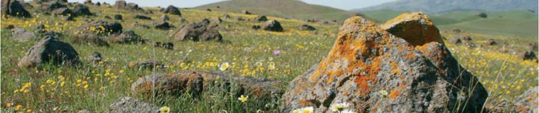 Kirby Canyon Recycling & Disposal Facility