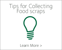 Tips Scraps