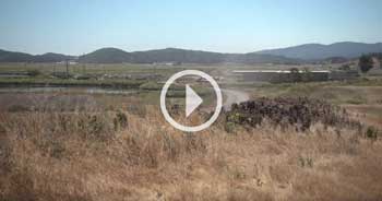 Redwood Video