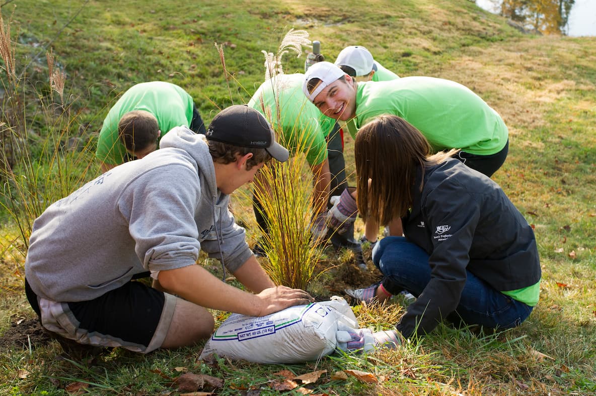 A group of teens plant some tall grass.