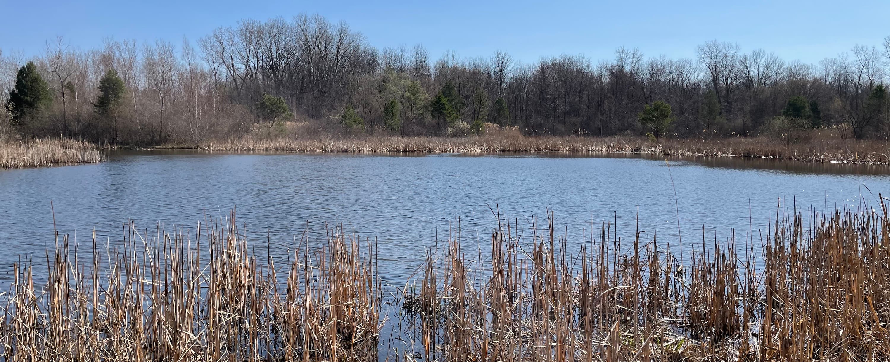 Enviromental Stewardship