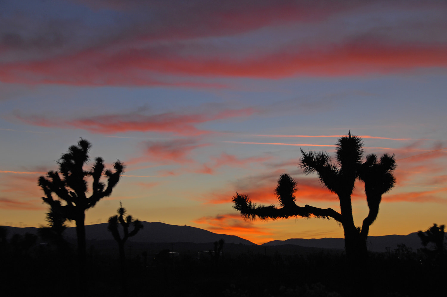 Business Waste Services inPalmdale, CA
