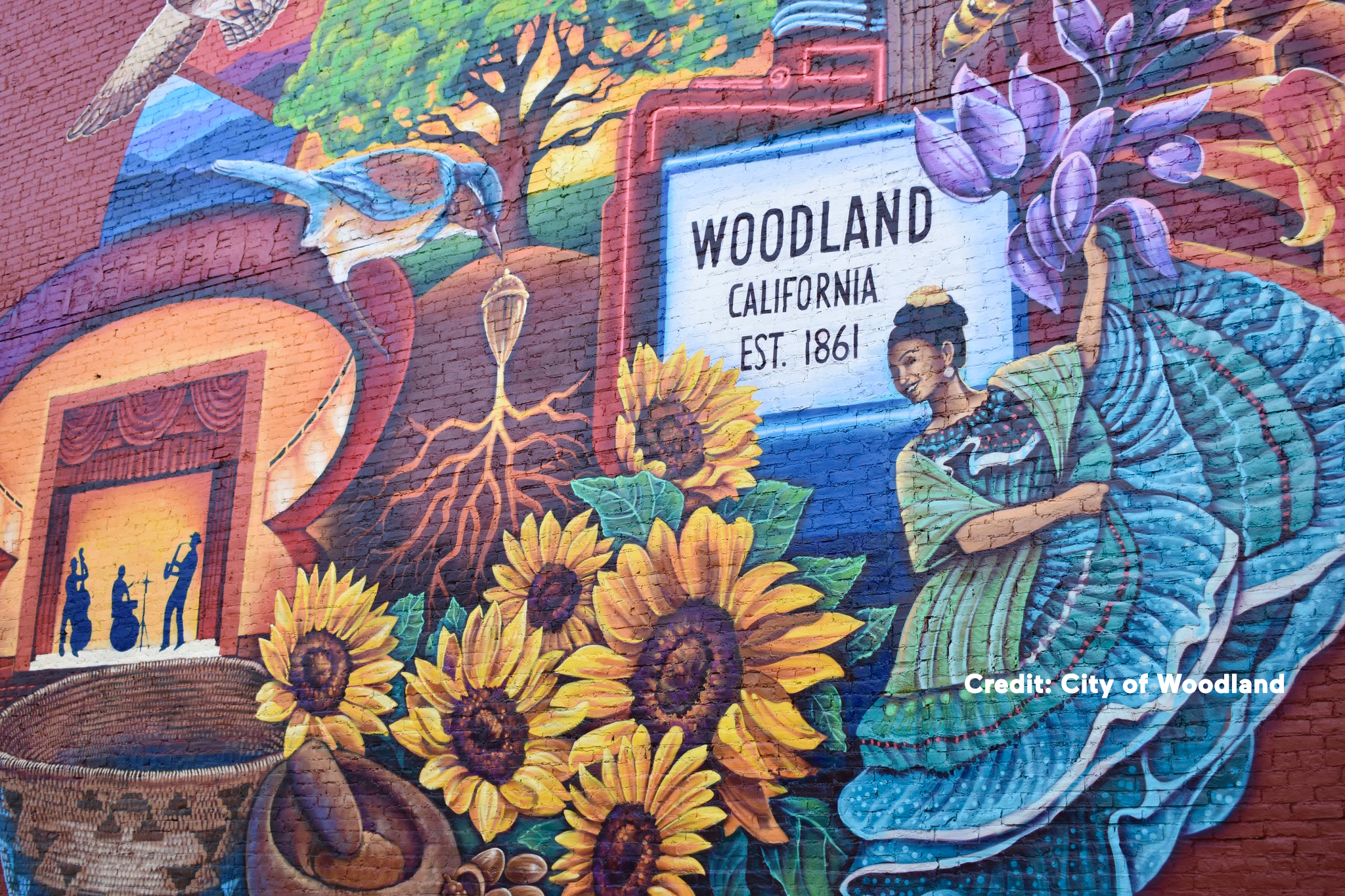 Home Waste Service in Woodland, CA