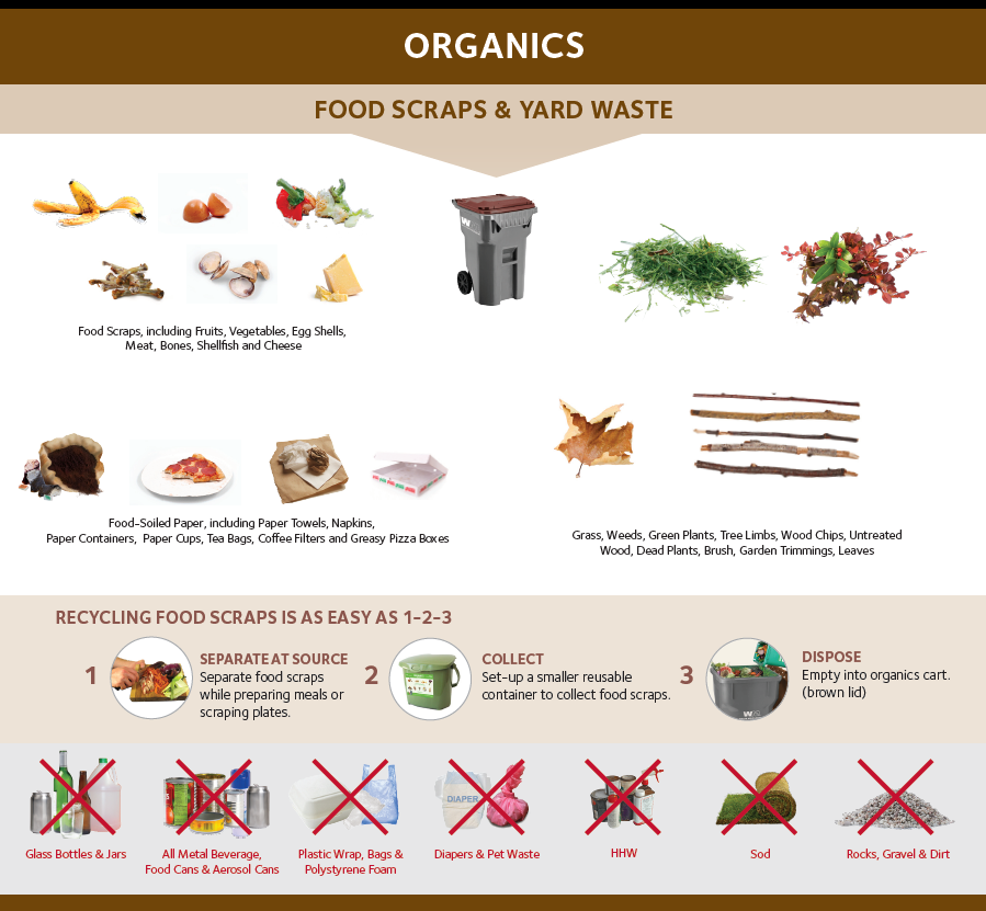 Can You Compost Brown Paper Bags: Eco-Friendly Guide