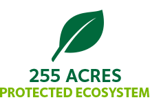 255 Acres of Protected Ecosystem